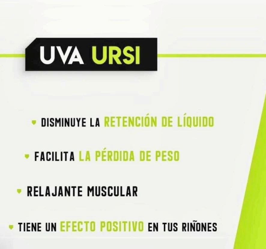 Miniatura 15